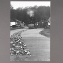 Cornelia Parker: Thirty Pieces of Silver