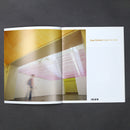 Ayşe Erkmen: Under the Roof