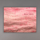Boyd Webb