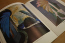 Ikon Gallery Shop | Selected Paintings 1974-1984 : by Alan Miller by Ikongallery