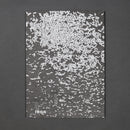 Michel Francois: Pieces of Evidence