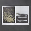 Michel Francois: Pieces of Evidence