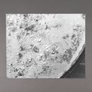 Shelagh Wakely: Gold Dust