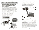 Nature is the Answer: A Toolkit for Eco-Positivity