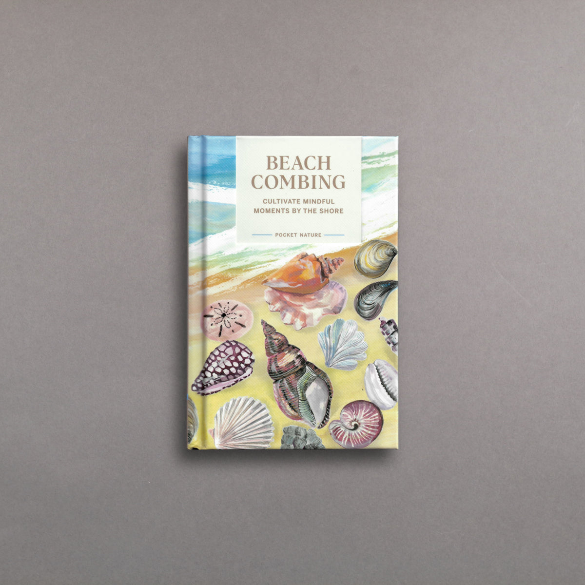 Pocket Nature: Beachcombing