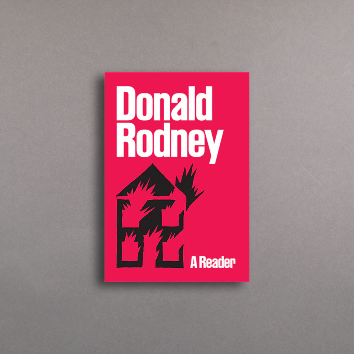 Donald Rodney: A Reader