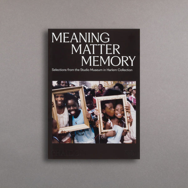 Meaning Matter Memory