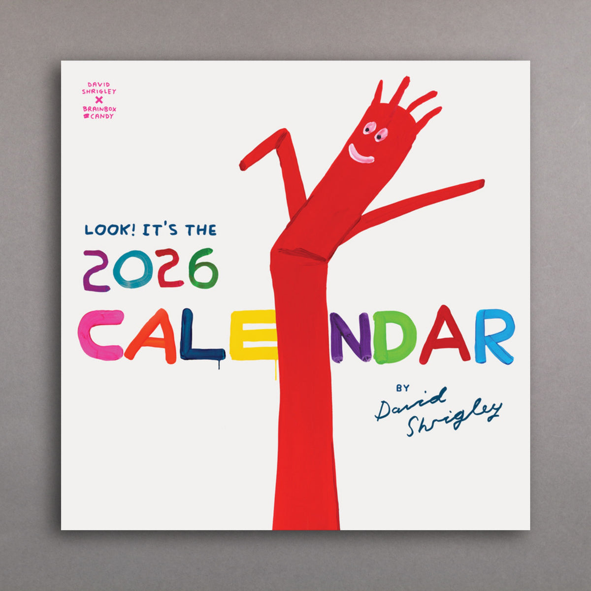 David Shrigley 2026 Calendar