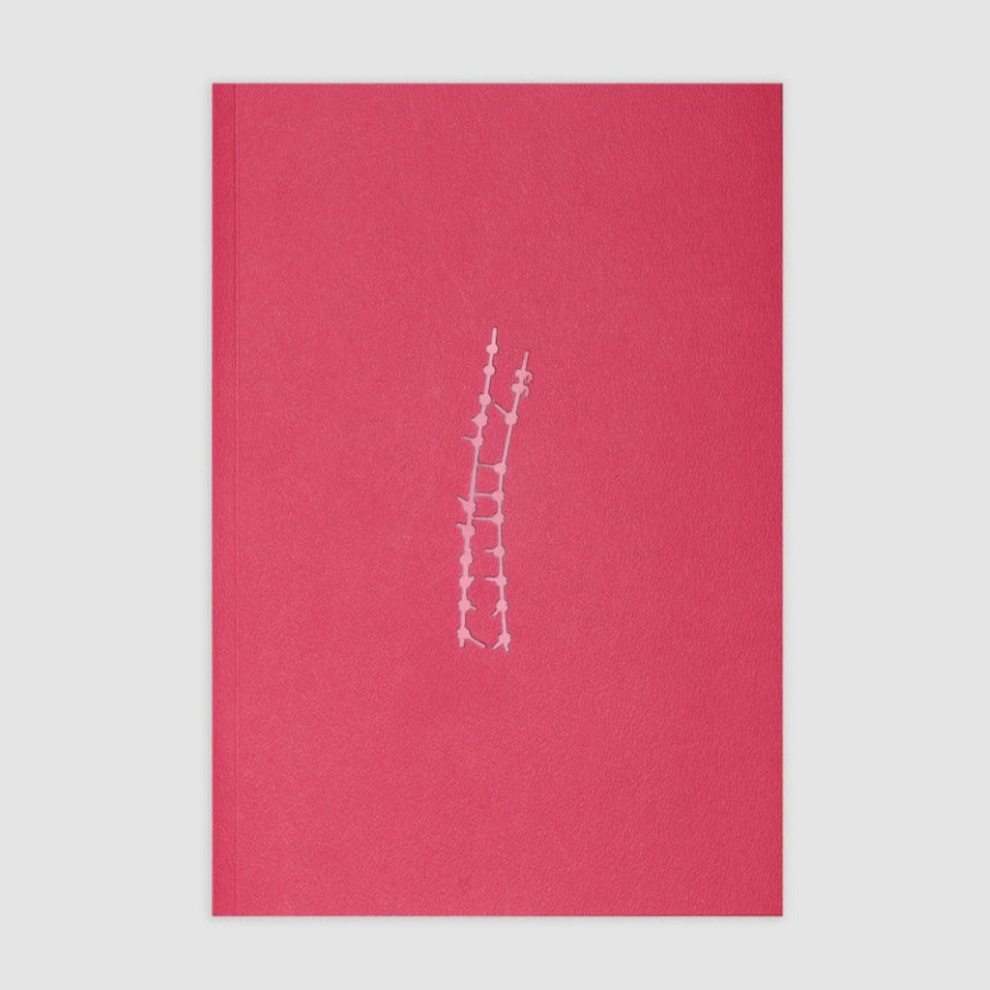 The Backbone: Ayesha Jones (Pre-Order)