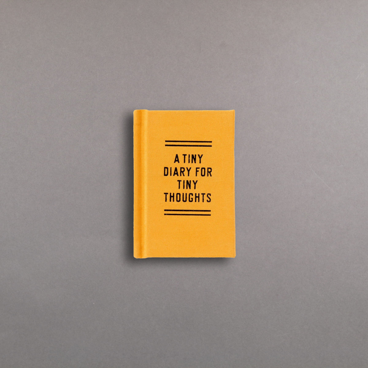 A Tiny Diary for Tiny Thoughts