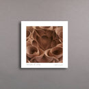 Halima Cassell: Virtues of Unity