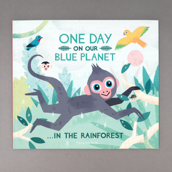 One Day on our Blue Planet: In the Rainforest