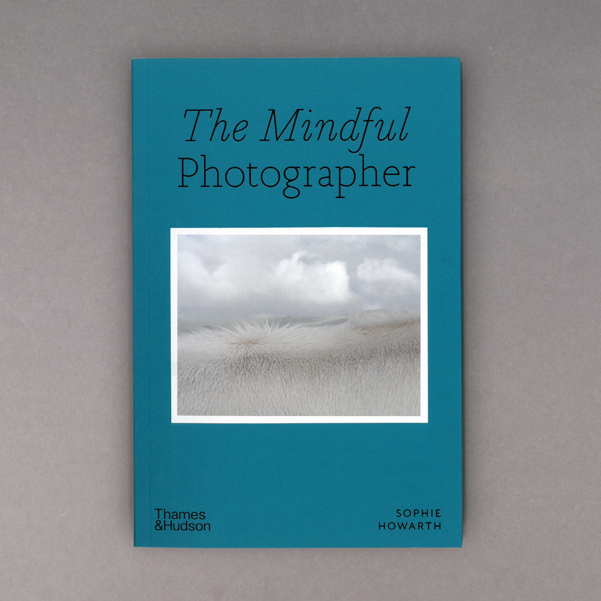 The Mindful Photographer