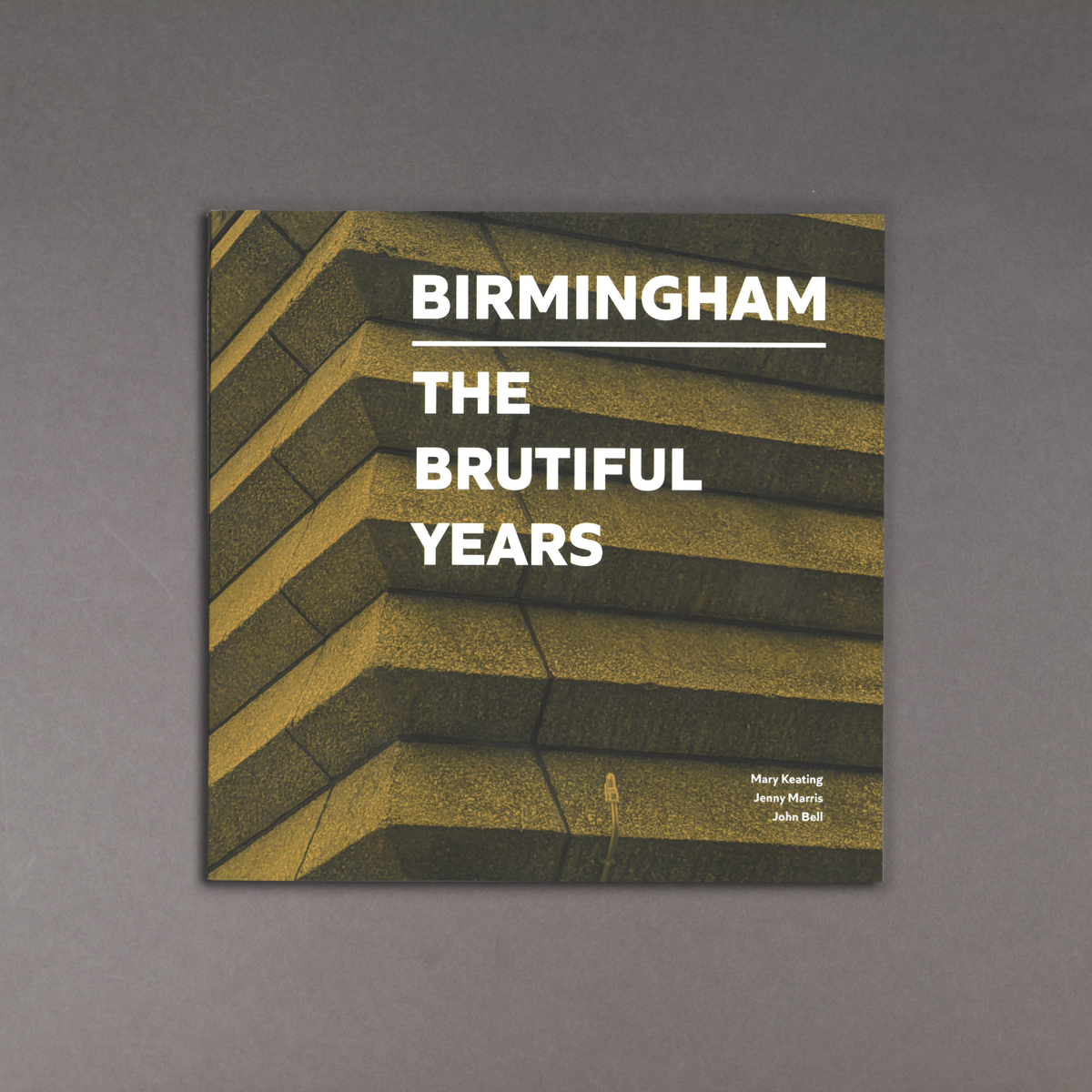 Birmingham The Brutiful Years
