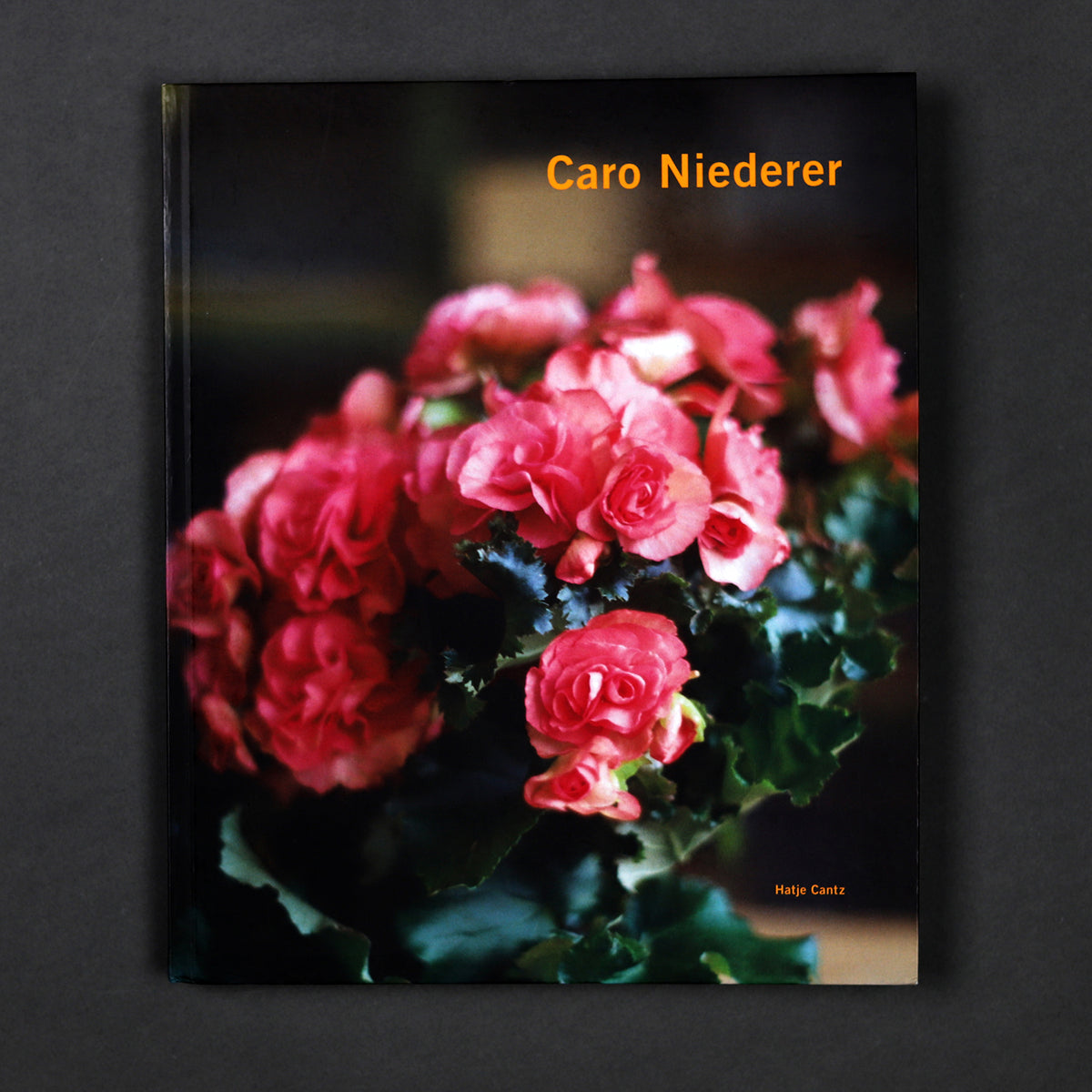 Caro Niederer: Living with Art