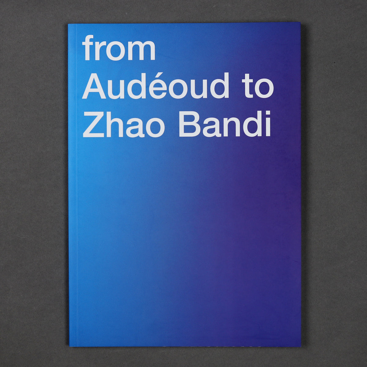 From Audeoud to Zhao Bandi: Selected Ikon Offsite Projects 2002-2004