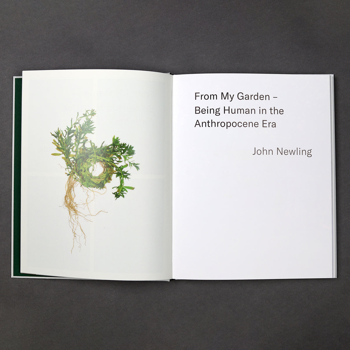 John Newling: Ecology Works