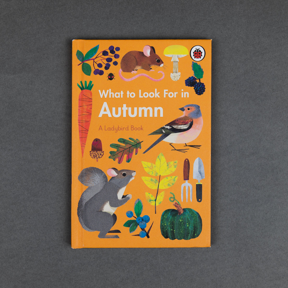 What to Look for in Autumn