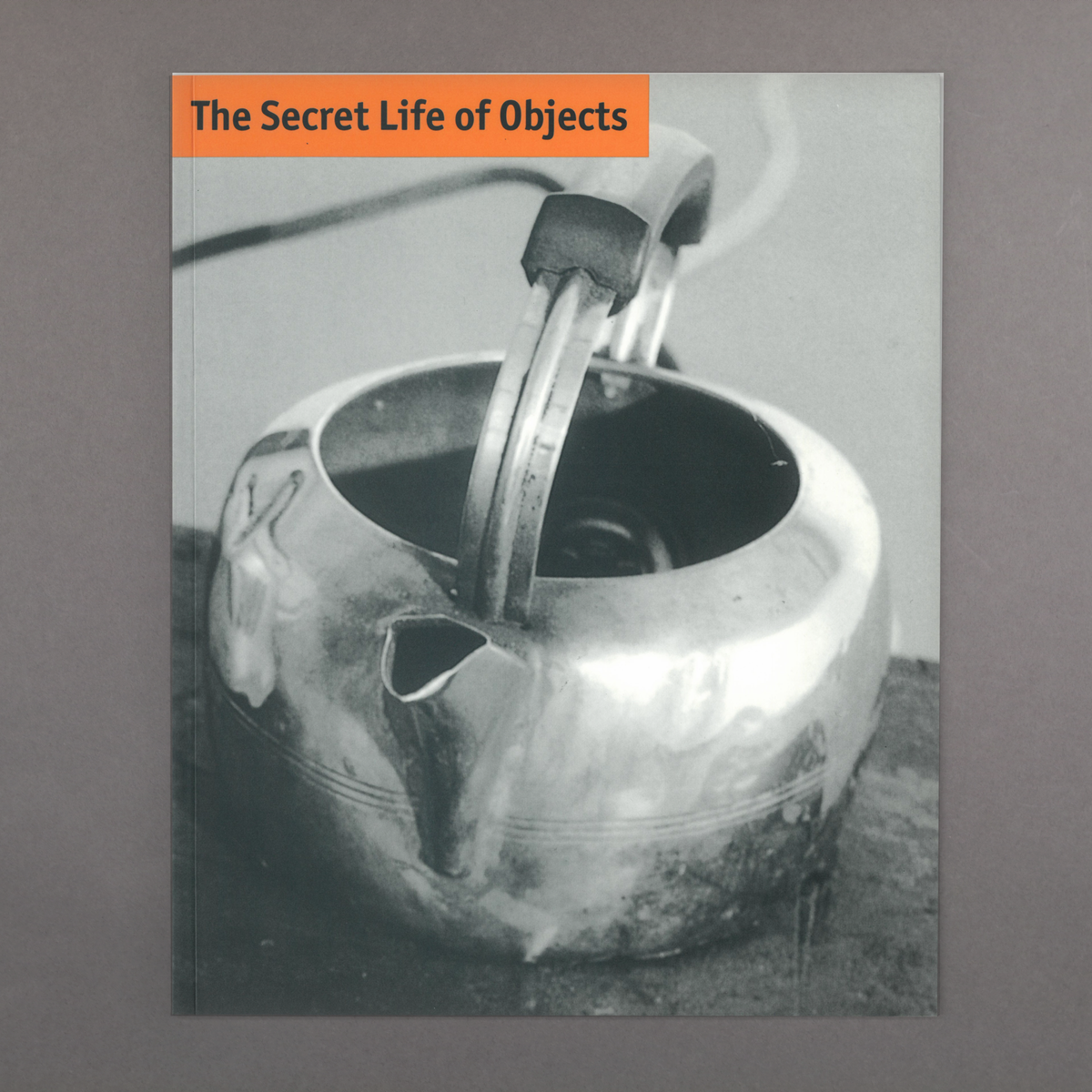 The Secret Life of Objects